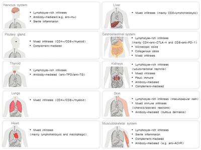 Biological Bases of Immune-Related Adverse Events and Potential Crosslinks With Immunogenic Effects of Radiation